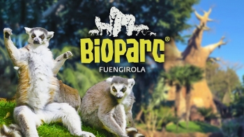 Bioparc Fuengirola